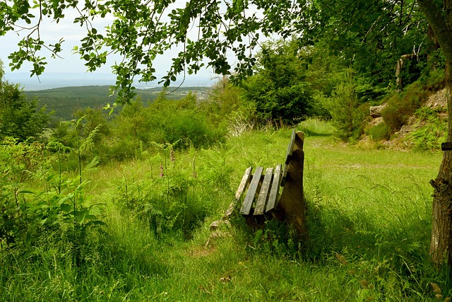 禁藥事件中 禁藥事件中
