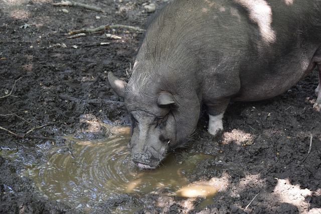 这无疑为我 这无疑为我