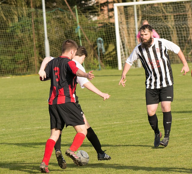 活力的季节 活力的季节