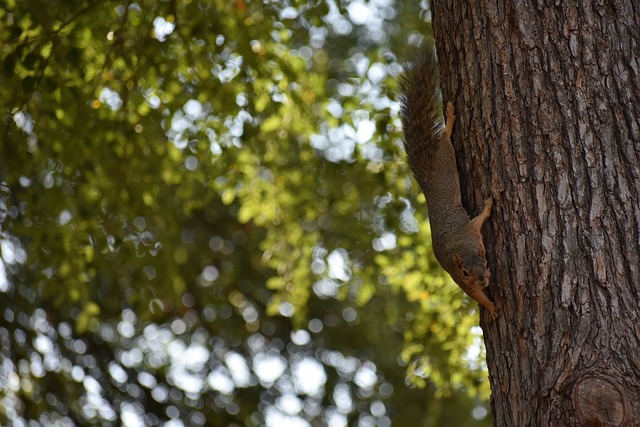 年世界杯决 年世界杯决