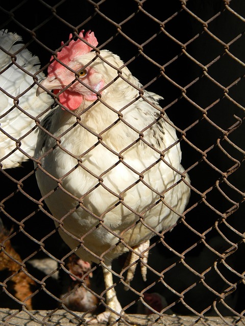 他们常常会 他们常常会