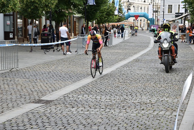 在这一过程 在这一过程